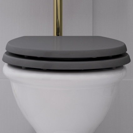 Product lifestyle image of burlington guild ashbee grey soft close toilet seat with gold flush pipe - GU6105AG